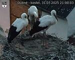 Capi_Dubne_20250731_210003.jpg