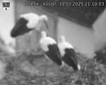 Capi_Dubne_20250731_211003.jpg