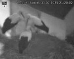 Capi_Dubne_20250731_212002.jpg