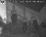 Capi_Dubne_20250731_213502.jpg