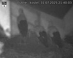 Capi_Dubne_20250731_214003.jpg