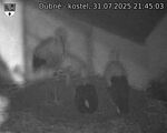 Capi_Dubne_20250731_214503.jpg