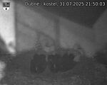 Capi_Dubne_20250731_215003.jpg