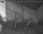 Capi_Dubne_20250731_221002.jpg