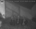 Capi_Dubne_20250731_233502.jpg