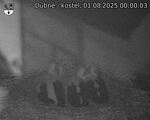 Capi_Dubne_20250801_000003.jpg
