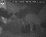 Capi_Dubne_20250801_001003.jpg
