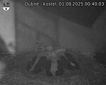 Capi_Dubne_20250801_004003.jpg