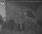 Capi_Dubne_20250801_010003.jpg