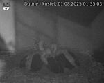 Capi_Dubne_20250801_013503.jpg