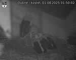 Capi_Dubne_20250801_015002.jpg