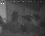 Capi_Dubne_20250801_020003.jpg