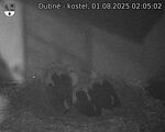 Capi_Dubne_20250801_020502.jpg