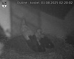 Capi_Dubne_20250801_022003.jpg