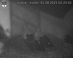Capi_Dubne_20250801_022502.jpg