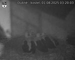 Capi_Dubne_20250801_032003.jpg