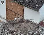 Capi_Dubne_20250801_084504.jpg