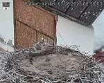 Capi_Dubne_20250801_085003.jpg