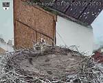 Capi_Dubne_20250801_092003.jpg