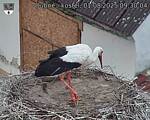 Capi_Dubne_20250801_093004.jpg