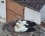 Capi_Dubne_20250801_111502.jpg
