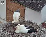 Capi_Dubne_20250801_114503.jpg