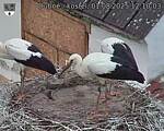 Capi_Dubne_20250801_121003.jpg