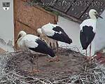 Capi_Dubne_20250801_121502.jpg