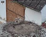 Capi_Dubne_20250801_122004.jpg