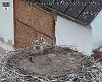 Capi_Dubne_20250801_123504.jpg