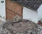 Capi_Dubne_20250801_124002.jpg