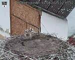 Capi_Dubne_20250801_124502.jpg