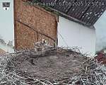 Capi_Dubne_20250801_125004.jpg