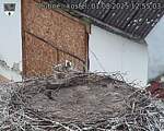 Capi_Dubne_20250801_125503.jpg