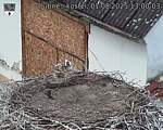 Capi_Dubne_20250801_130003.jpg