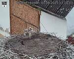 Capi_Dubne_20250801_131003.jpg