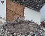 Capi_Dubne_20250801_131503.jpg
