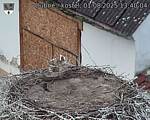 Capi_Dubne_20250801_134004.jpg