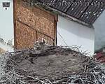 Capi_Dubne_20250801_134503.jpg