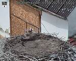 Capi_Dubne_20250801_135502.jpg