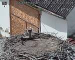 Capi_Dubne_20250801_143504.jpg
