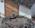 Capi_Dubne_20250801_144003.jpg