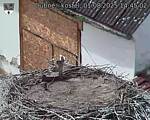 Capi_Dubne_20250801_144502.jpg