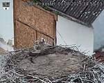 Capi_Dubne_20250801_145003.jpg