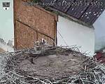 Capi_Dubne_20250801_145502.jpg