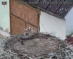 Capi_Dubne_20250801_150003.jpg