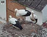 Capi_Dubne_20250801_151003.jpg