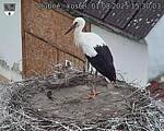 Capi_Dubne_20250801_153003.jpg