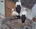 Capi_Dubne_20250801_153503.jpg