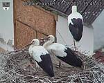 Capi_Dubne_20250801_154502.jpg